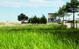 Einfach mal abtauchen 1