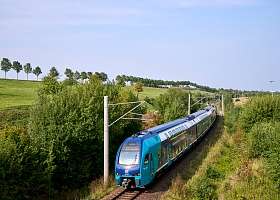 NAHSH diverse Motive 2025 KISS  37