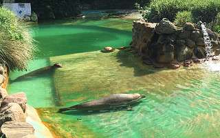 NAH SH website Soemmer Touren Arche Noah Groemitz 03