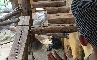 NAH SH website Soemmer Touren Arche Noah Groemitz 04