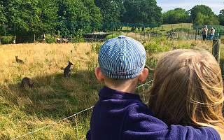 NAH SH website Soemmer Touren Arche Noah Groemitz 13