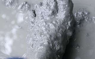 NAH SH website Bilder Soemmer Tour barfusspark 03