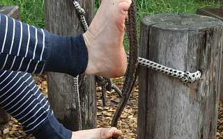 NAH SH website Bilder Soemmer Tour barfusspark 06