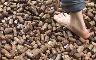 NAH SH website Bilder Soemmer Tour barfusspark 11