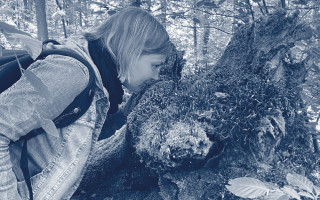 NAH SH website Bilder Soemmer Tour Waldbaden 2