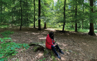 NAH SH website Bilder Soemmer Tour Waldbaden 4