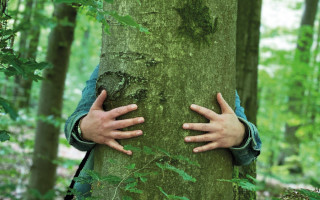 NAH SH website Bilder Soemmer Tour Waldbaden