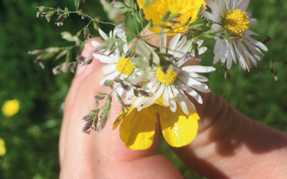 NAH SH website Bilder Soemmer Tour emkendorf 9