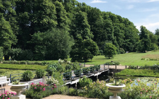 NAH SH website Bilder Soemmer Tour holstein amazonas 09