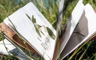 NAH SH website Bilder Soemmer Tour kraeuterwanderung 01