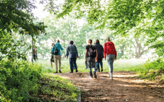 NAH SH website Bilder Soemmer Tour kraeuterwanderung 02