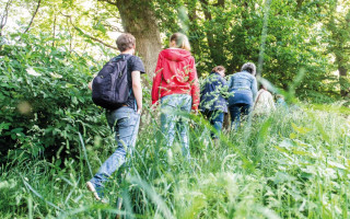 NAH SH website Bilder Soemmer Tour kraeuterwanderung 04