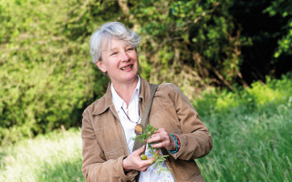 NAH SH website Bilder Soemmer Tour kraeuterwanderung 05