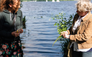 NAH SH website Bilder Soemmer Tour kraeuterwanderung 10