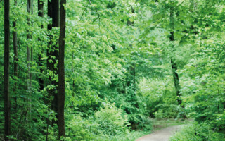 NAH SH website Bilder Soemmer Tour marienhoelzung 01