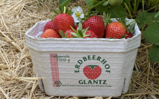 SOe2020 Erdbeeren 04