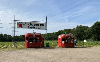 SOe2020 Erdbeeren 08