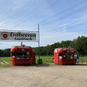 SOe2020 Erdbeeren 08