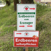 SOe2020 Erdbeeren 09