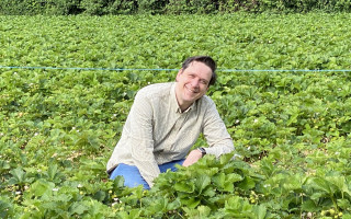 SOe2020 Erdbeeren 12