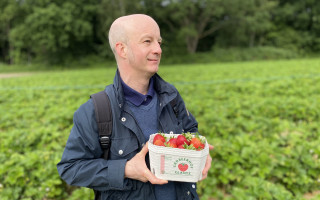 SOe2020 Erdbeeren 13