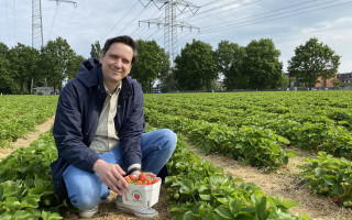 SOe2020 Erdbeeren 15