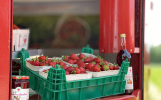 SOe2020 Erdbeeren 22