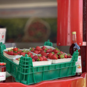 SOe2020 Erdbeeren 22