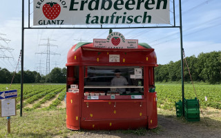 SOe2020 Erdbeeren 25