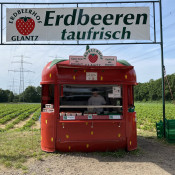 SOe2020 Erdbeeren 25