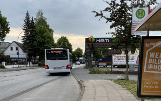 SOe2020 Erdbeeren 33