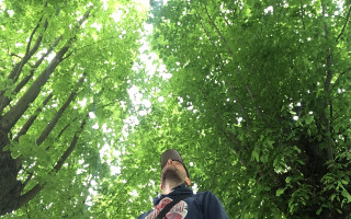 SOe2020 digi 00 Alleen 01