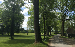 SOe2020 digi 00 Alleen 04 1