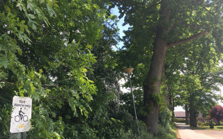 SOe2020 digi 00 Alleen 06 1