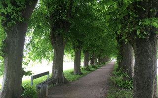 SOe2020 digi 00 Alleen 10 1