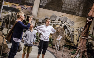 Gigantenskelette und Erdbeben im Vulkan  4