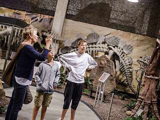 Gigantenskelette und Erdbeben im Vulkan 