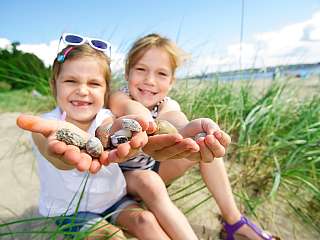Feuersteinwürste im Gesteinsmekka Feuersteinwürste im Gesteinsmekka