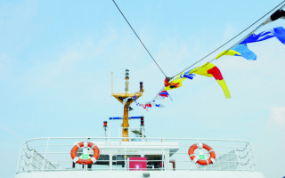 Die Seesterne des Erklärbärs 1