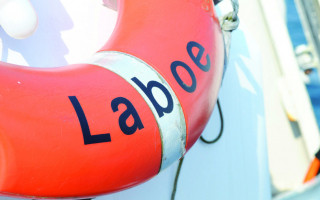 Die Seesterne des Erklärbärs 3