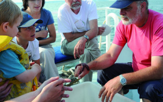 Die Seesterne des Erklärbärs 4