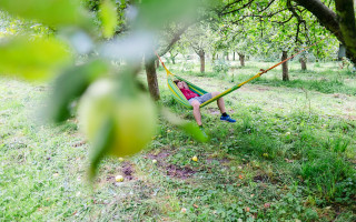 Mit dem Drahtesel zum Prinzen  4