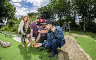 Der Kleingolf-Tiger  4