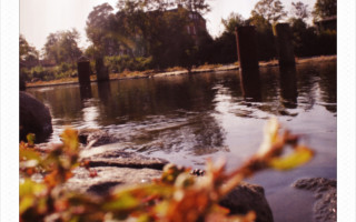 An jeder Ecke Leichen 6