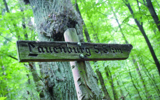 Traute, die Waldfee 2