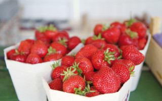 Die Geheimnisse des „Laborinths“  3