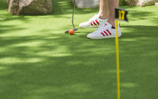 Der Kleingolf-Tiger  1