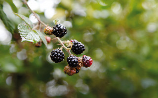 Wanderbar bei jedem Wetter  2