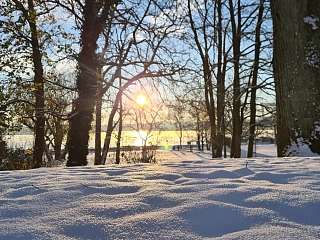 Neuschnee im Sonnenaufgang zwischen Bäumen an der Kieler Förde Neuschnee im Sonnenaufgang zwischen Bäumen an der Kieler Förde