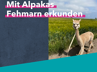 Kopie von NAHSH erleben Thumbnail 1000x10001